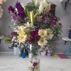 Akvaryum Cam Aranjman