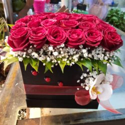 Siyah Kutuda 50 Adet Kırmızı Gül ve Beyaz Cipso